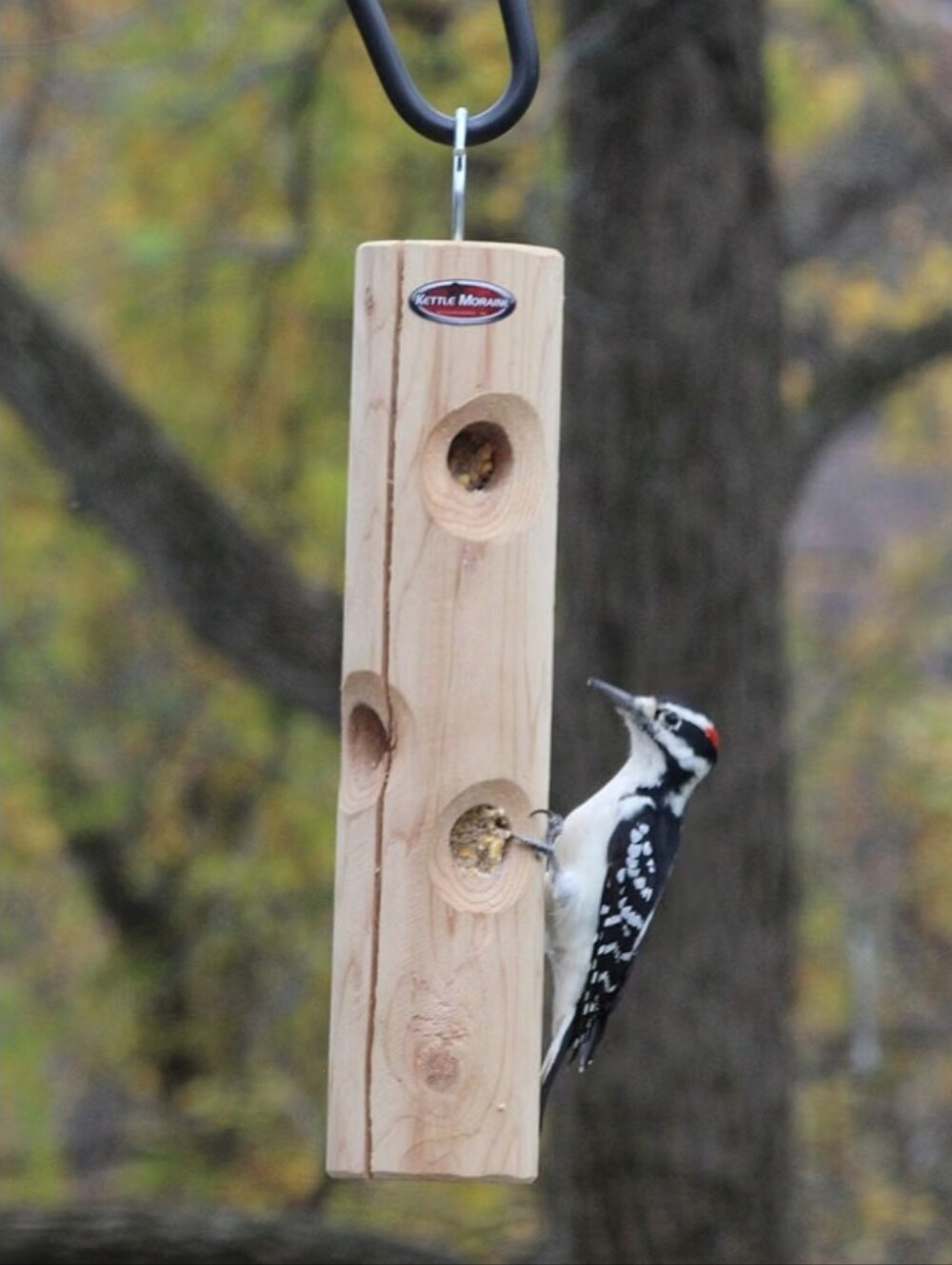 BIRD FEEDER | Cedar Suet Plug Log Feeder